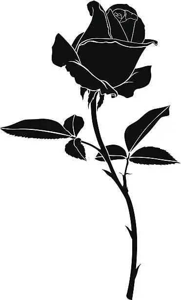 Vector illustration of Silhouette rose flower