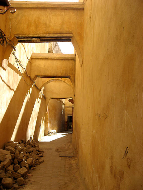 istock Alley in Old Town Fez 461893799