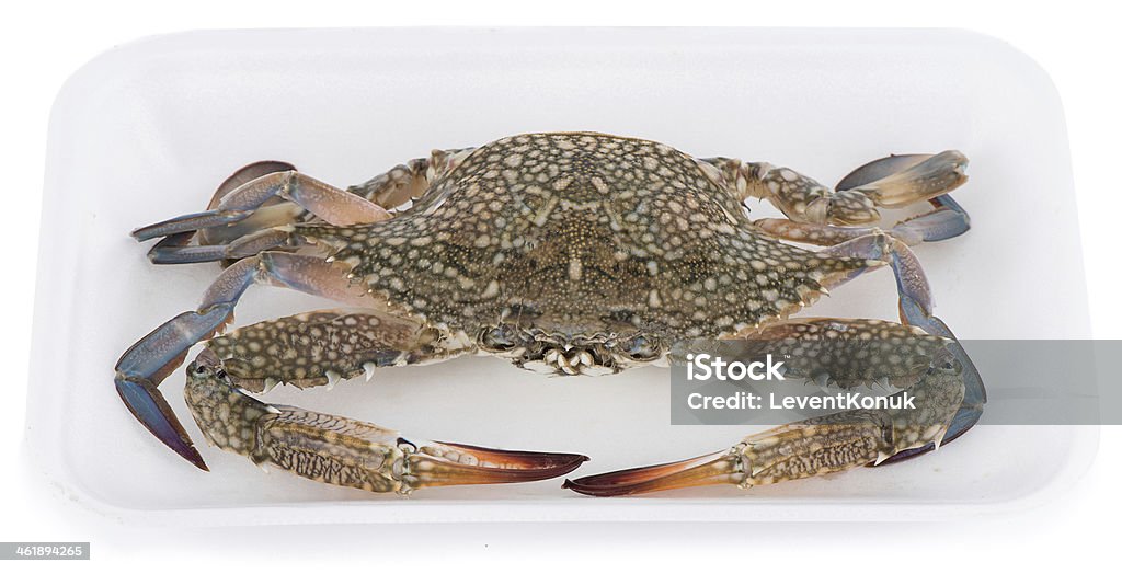 Formule crabe au Market - Photo de Crabe bleu libre de droits
