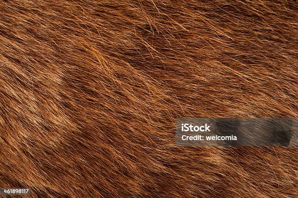 Fur sich
