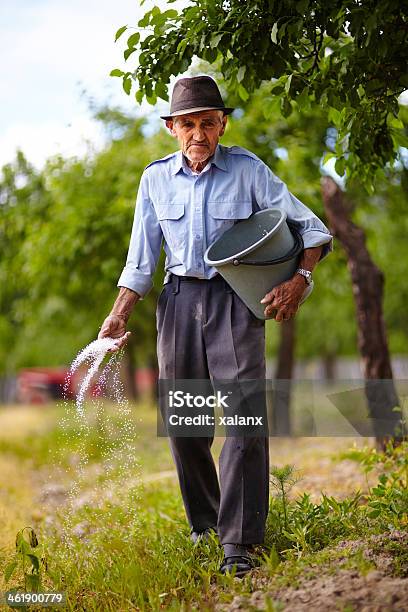 늙음 Farmer Fertilizing 있는 Orchard 계절에 대한 스톡 사진 및 기타 이미지 - 계절, 과수원, 남자