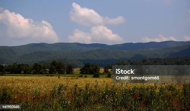 Montagne Fumose Cades Cove Valley - Fotografie stock e altre immagini di Albero - Albero, Ambientazione esterna, Ambientazione tranquilla