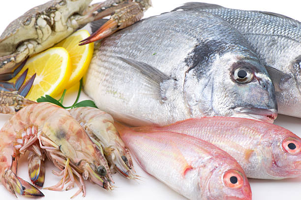 istock Fresh Catch of Seafood 461906377