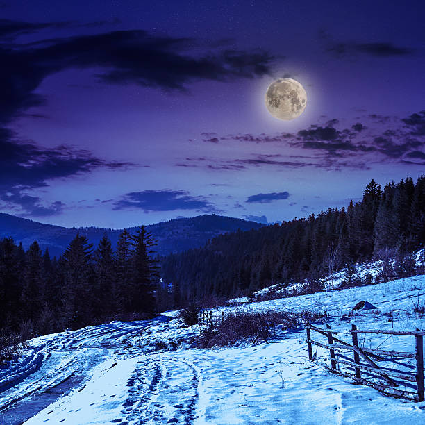 istock fence by the road to snowy forest in mountains 461907163
