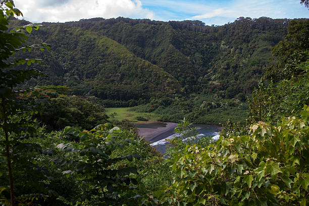 areal видом на пляж с черным песком - black sand beach hawaii islands maui стоковые фото и изображения