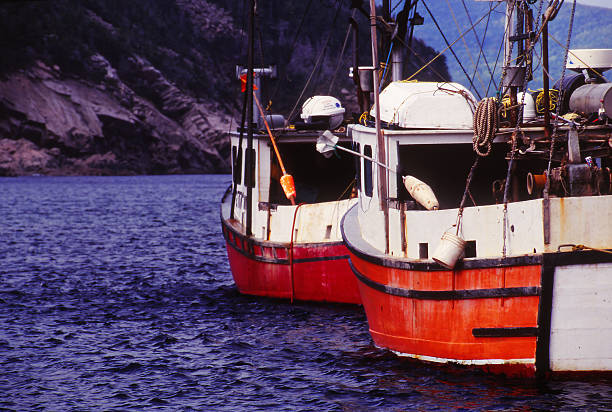 istock Two Fishing Boats 461910887