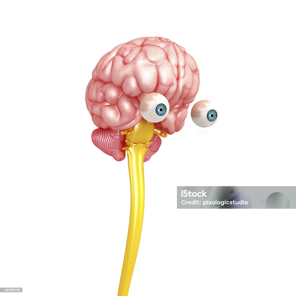휴머니즘 뇌 숨뇌 및 아이즈 0명에 대한 스톡 사진 및 기타 이미지 - 0명, 3차원 형태, X-레이 - iStock