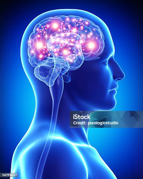 Male Active Brain Stock Photo - Download Image Now - Human Nervous System, Nerve Cell, Human Brain