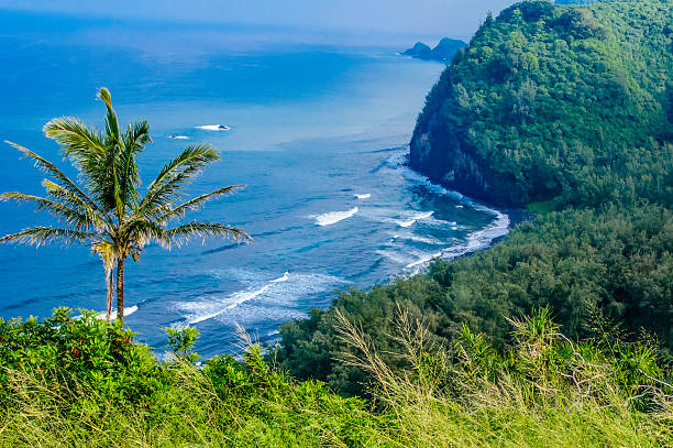 Scenic bird's-eye view of Hawaiian coastline stock photo