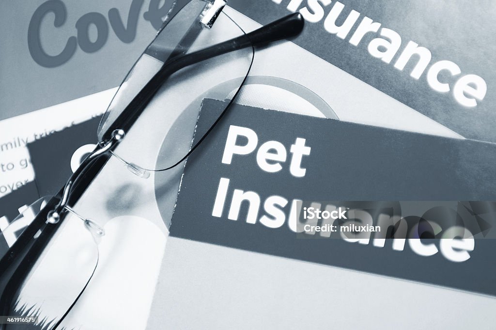 Pet insurance Glasses and pet insurance booklet Insurance Stock Photo