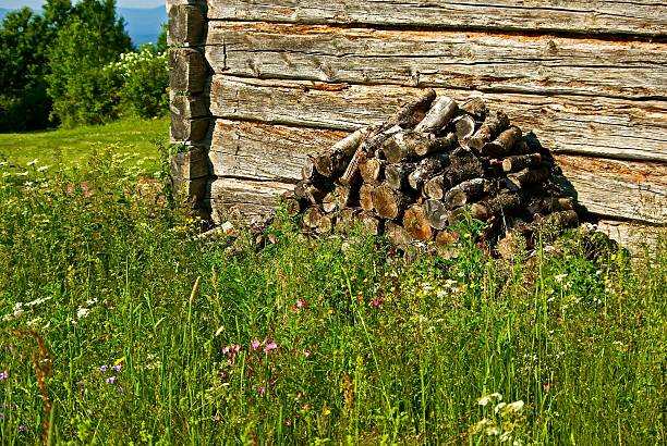 istock Barn and woodpile 461924115