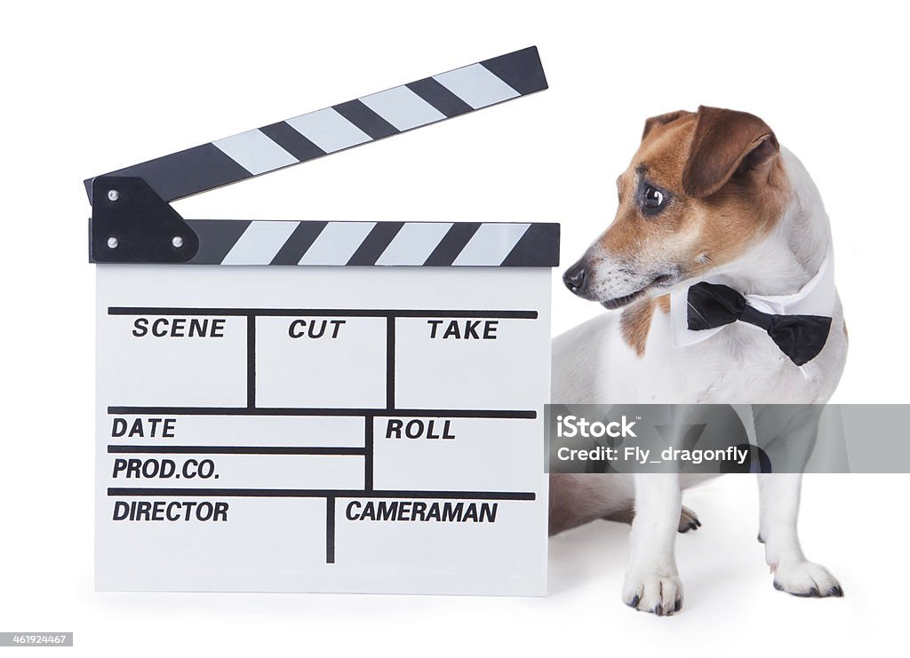 Movie Video Star Animal Stock Photo - Download Image Now - Dog, Film  Industry, Movie - iStock