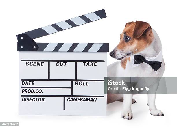 Movie Video Star Animal Stock Photo - Download Image Now - Dog, Film  Industry, Movie - iStock