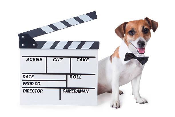 Pet movie star