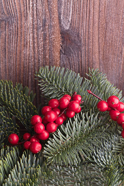 istock red cranberries and fir 461930755