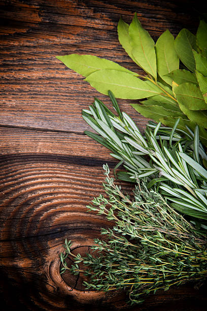 istock Fresh thyme, rosemary and laurel bay leaves 461930815