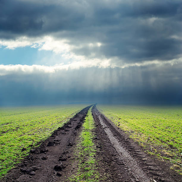 road in green field a bajo nubes - single lane road road sky dirt road fotografías e imágenes de stock