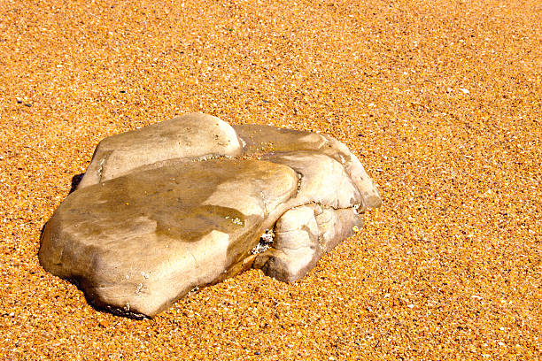 istock Flat Tip Of Rock Protruding From Sand On Beach 461933481