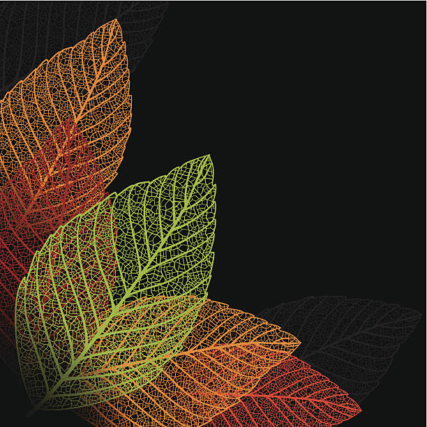 мастер-фон с листьями. - autumn backgrounds biology botany stock illustrations