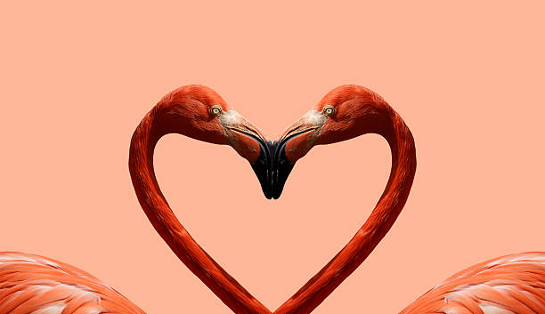 istock Postcard Valentine's Day with pink flamingos 461934991