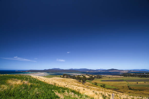 Fertile farmland under a crisp blue sky.