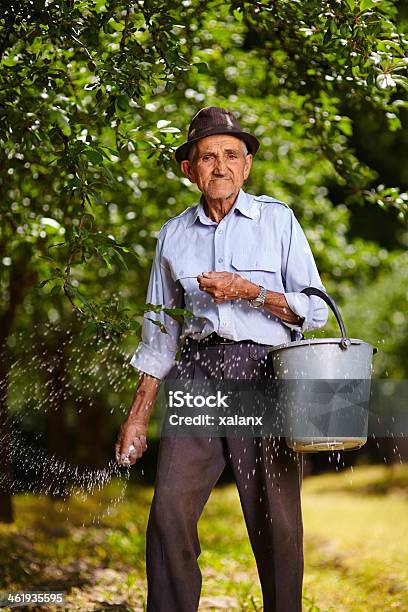 Old Farmer Fertilizing In Einem Obstanbaugebiet Stockfoto und mehr Bilder von Agrarbetrieb - Agrarbetrieb, Aktiver Senior, Aktivitäten und Sport