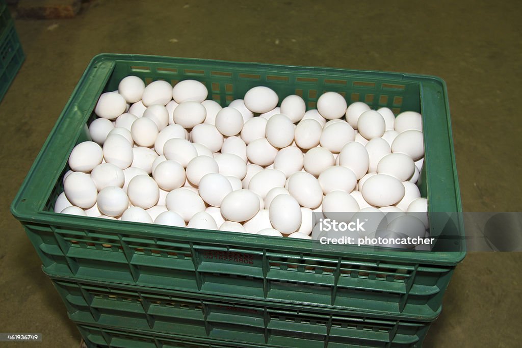 eggs many eggs in basket Animal Stock Photo