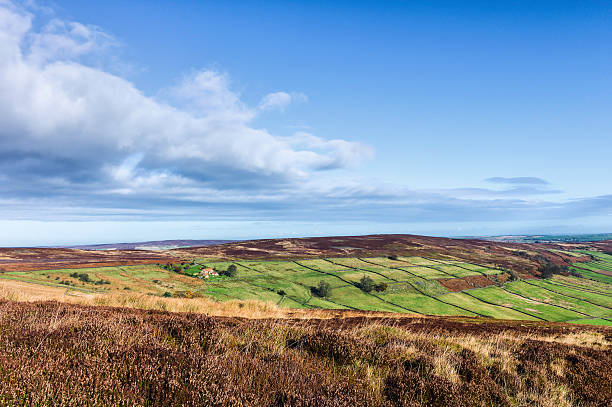 istock North York Moors in autumn, Yorkshire, UK. 461943267
