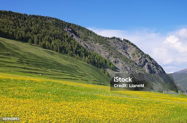 Engadina Vicino A St Moritz - Fotografie stock e altre immagini di Albero - Albero, Alpi, Alpi svizzere