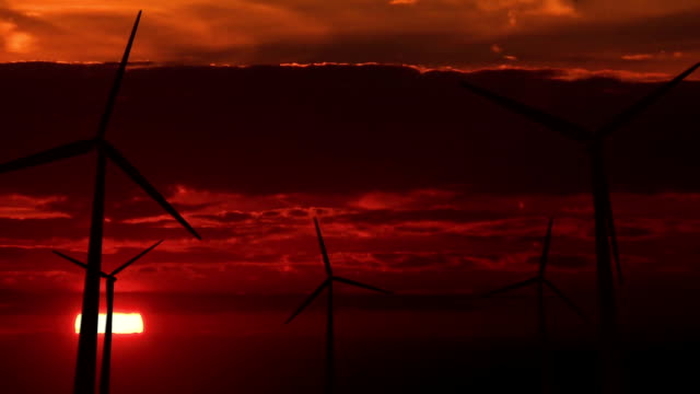 Set of wind generators against dawn - HD