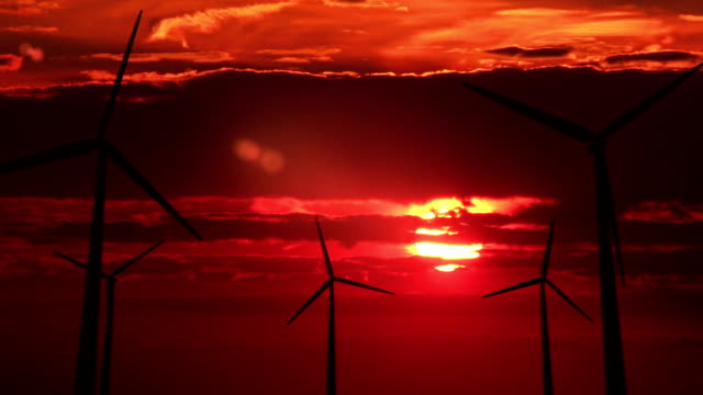 Many wind mills against red sunset - HD