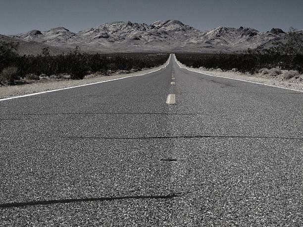 istock Endless road at the desert 461952071