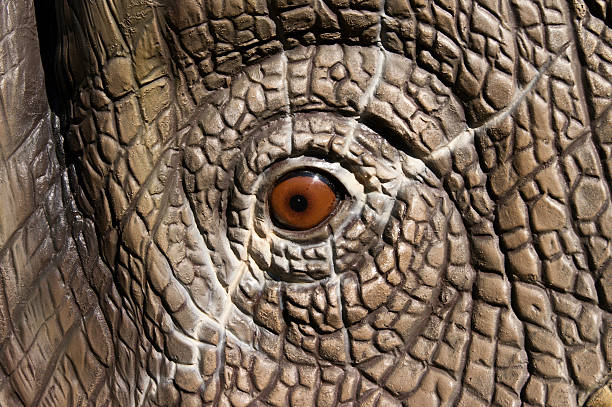istock Close-up of animal eye 461956423
