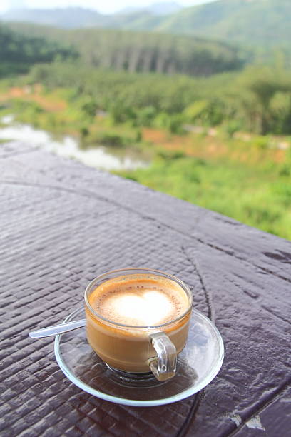 istock coffee in the garden 461957179
