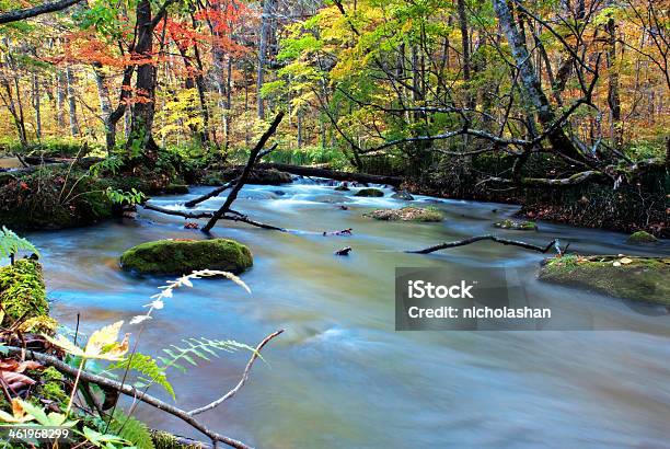 Autumn Colors Of Oirase River Stock Photo - Download Image Now - Aomori Prefecture, Autumn, Awe