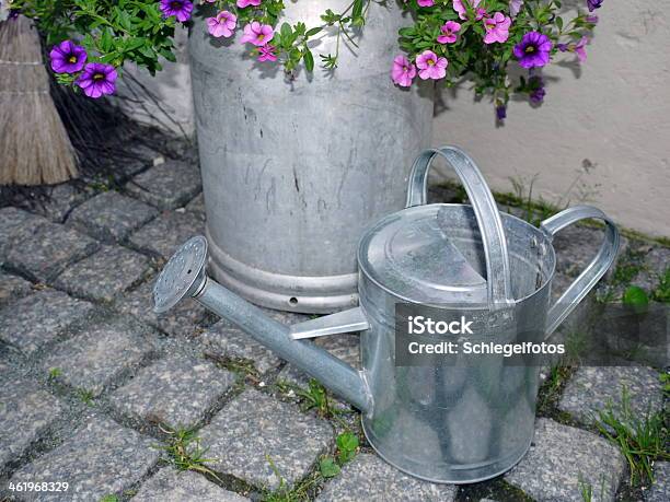 Watering Can Zink Stock Photo - Download Image Now - Blossom, Equipment, Flower