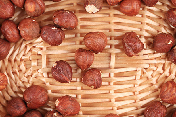 close-up de hazel nozes em uma cesta de vime. - hazelnut nut hazel tree tree - fotografias e filmes do acervo