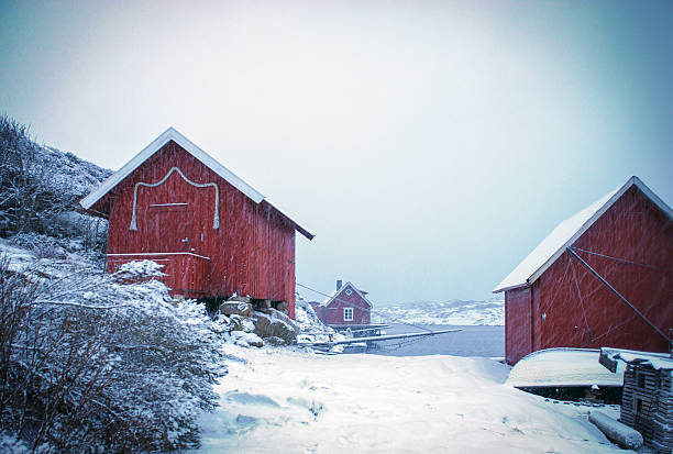 istock Red boathouses in snowing winter landscape 461970363
