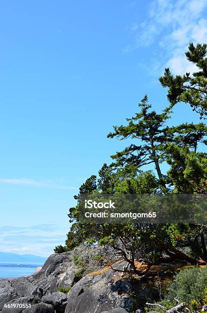 Vancouver Island East Sooke Park Tree Sky View Stock Photo - Download Image Now - Beach, Canada, Coastline