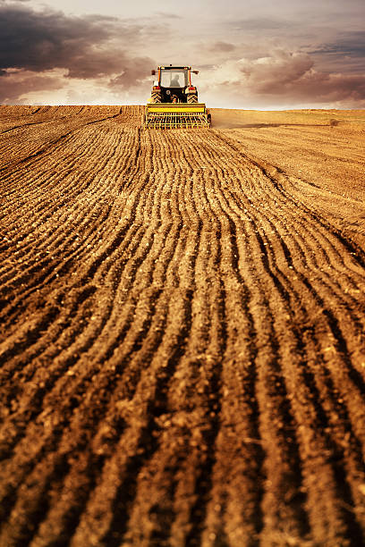 arar y plantar el campo de maíz con tractor - tillage fotografías e imágenes de stock