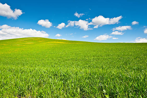 green hills - photography cloud plantation plant photos et images de collection