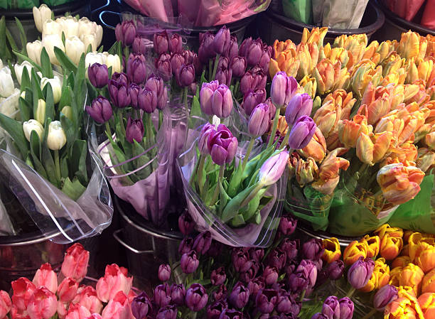 istock Bouquets of Tulips 461984631