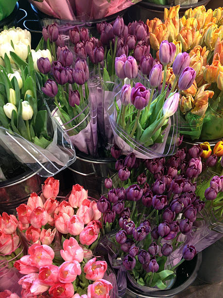 istock Colorful Bouquets of Tulips 461984673