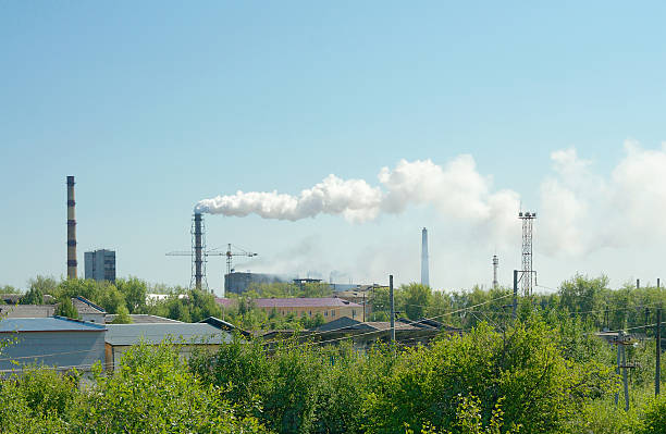istock Segezha Pulp and Paper Mill from the overpass 461984827