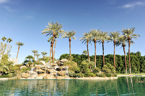 istock Pool of water with palm trees in a row 461984859