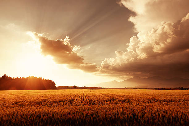 istock Sunset over beautiful landscape after rain shower 461984943