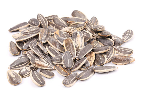 istock Bunch of sunflower seeds. 461985175