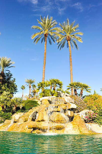 istock Pool of water with palm trees in a row 461985323
