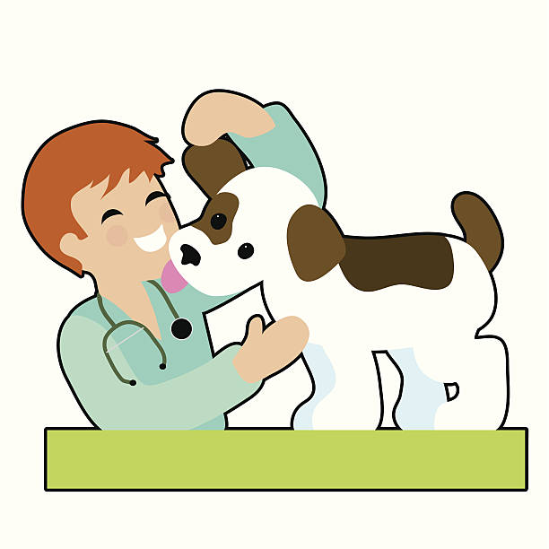 Puppy and Vet A male vet is checking a puppy's ear and gettng a kiss from the puppy - both are very happy animall stock illustrations