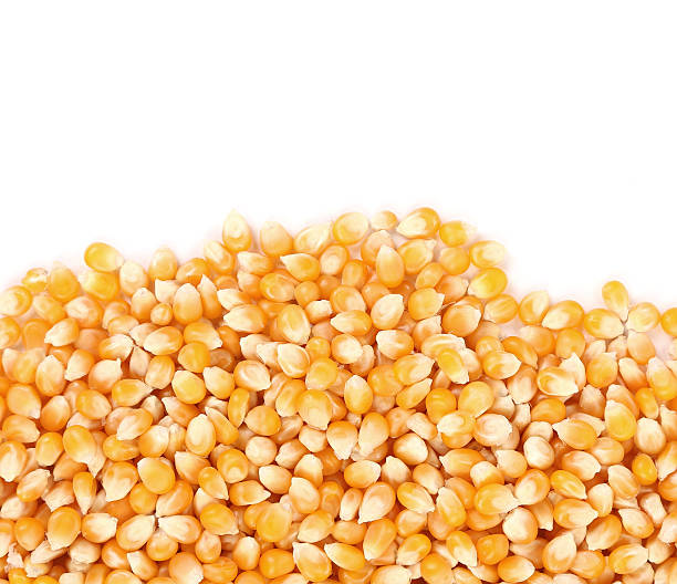 istock Close up of corn grains for popcorn 461993189